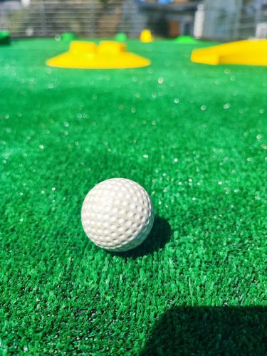 a golf ball sitting on top of the grass at Apartamenty Poddąbek- basen kryty, sauna, animacje dla dzieci , małpi gaj, baseny na dachu in Poddąbie