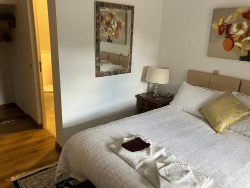 a bedroom with a bed with a mirror on the wall at La Tuilerie Grange (Adults only gite) with two en-suite double bedrooms in Le Bugue