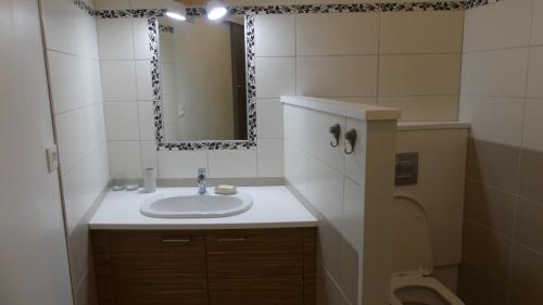 uma casa de banho com um lavatório, um espelho e um WC. em KAZ à LILO em Petite Île