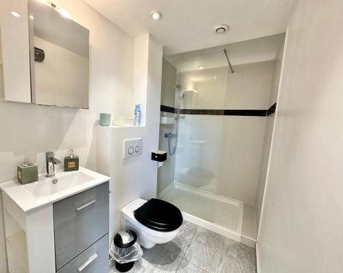 une salle de bain avec une douche, des toilettes et un lavabo dans l'établissement Studio - Clim AC - 5min beach walk - 2min tramway, à Nice