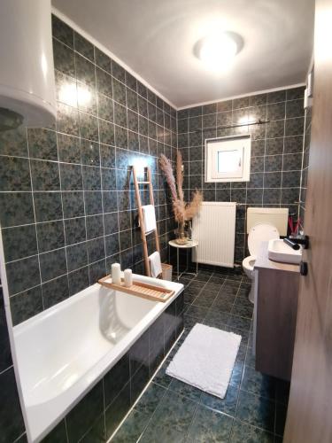 a bathroom with a bath tub and a toilet at Apartma KORPEC in Ivanjkovci