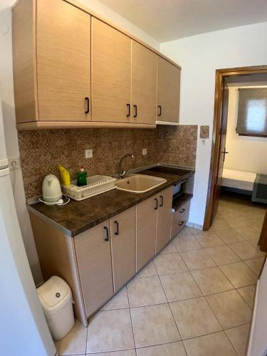 Gallery image of Alexandros Hotel Apartments in Vourvourou