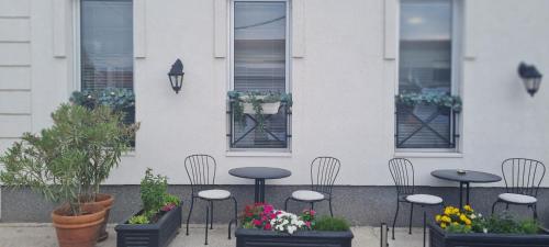 Gallery image of MiniCity Inn in Belgrade