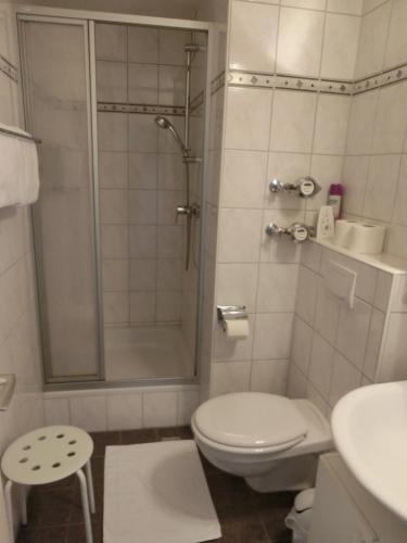 ein Bad mit einer Dusche, einem WC und einem Waschbecken in der Unterkunft Haus Bergland in Neureichenau