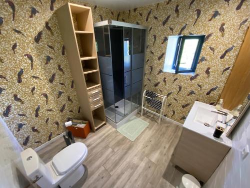 een badkamer met een douche, een toilet en een wastafel bij Gîte du Voyageur de la Maison Blanche 4p in Saint-Yzans-de-Médoc
