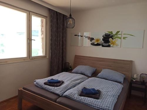 Tempat tidur dalam kamar di Casa Lauda in Pillichsdorf