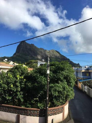 a view of a mountain with a pole and some bushes at Modern and Cozy Apartment in Quatre Bornes in Quatre Bornes