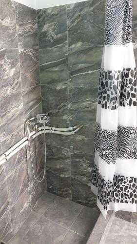 a bathroom with a shower with a shower curtain at Stathis Apart 2 in Amorgos
