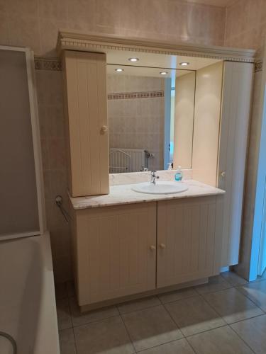 ein Badezimmer mit einem Waschbecken und einem großen Spiegel in der Unterkunft Appartement zeedijk Heist met garage in Knokke-Heist