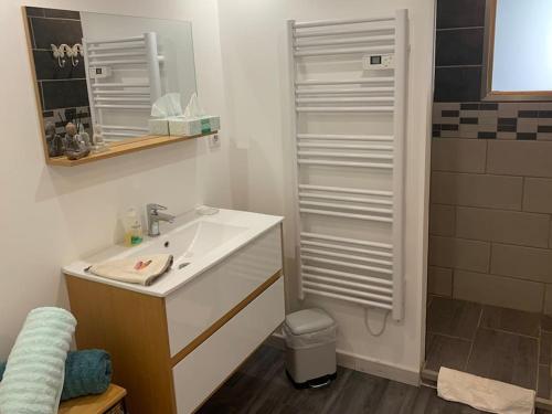 La salle de bains est pourvue d'un lavabo et d'une douche. dans l'établissement Loft Casa Wi hyper centre - Parking-clim, à Perpignan