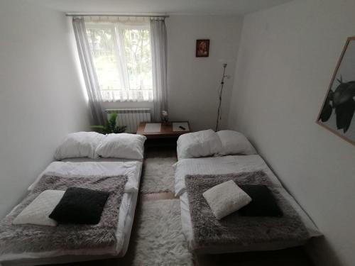 克雷尼察的住宿－Mieszkanie Reymonta，一间设有两张床铺和窗户的房间