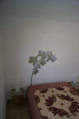 un vase avec une fleur dans l'angle d'une pièce dans l'établissement Maisonnette climatisée 46 m2, à Andernos-les-Bains