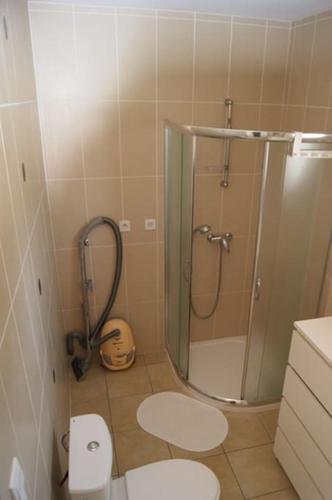 une salle de bain avec douche et toilettes dans l'établissement Maisonnette climatisée 46 m2, à Andernos-les-Bains