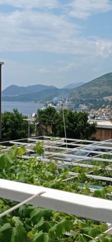Apartman T&D