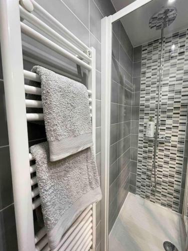 a bathroom with a shower and towels on a towel rack at Studio centre ville à pied in Cannes