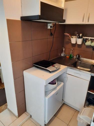 Una cocina o cocineta en Apartmani Biljana Lazić