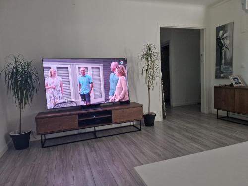 uma televisão de ecrã plano numa bancada numa sala de estar em Villa calme em Uchaud