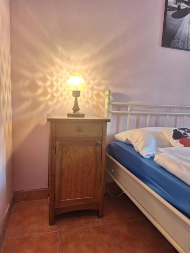 1 dormitorio con 1 cama con lámpara en una mesita de noche en Apartment Tonica, en Lokve