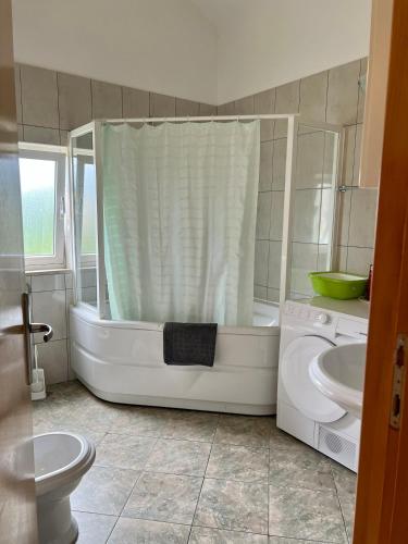a bathroom with a shower and a toilet and a sink at Apartmani Luka in Korčula