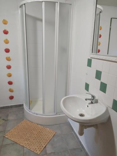 a bathroom with a sink and a shower at Penzion Tatry in Veľká Lomnica