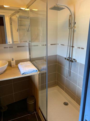 une salle de bain avec douche et lavabo dans l'établissement LES BALCONS DU PHENY LE REFUGE, à Gérardmer
