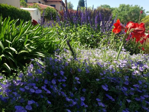 a garden with purple and purple flowers and red flowers at Casa Gila in Yonatan