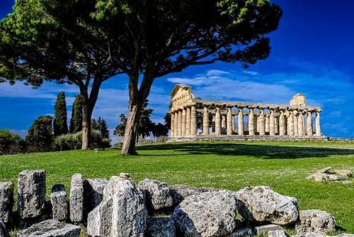 a stone fence in front of a building with a tree at La Laura di Paestum - case vacanze in Capaccio-Paestum