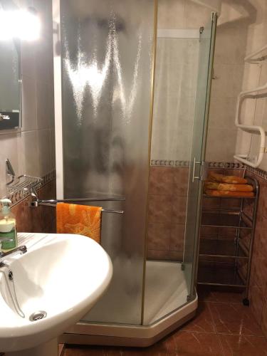 een badkamer met een douche en een wastafel bij Butas Miško slėnis in Juodkrantė