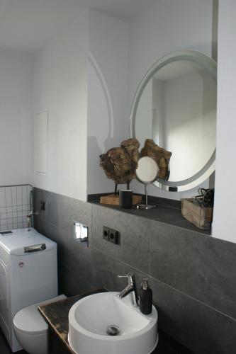 uma casa de banho com um WC, um lavatório e um espelho. em Dock2Apartment Rügen Whg 1 große Terrasse, ruhige Lage em Lohme