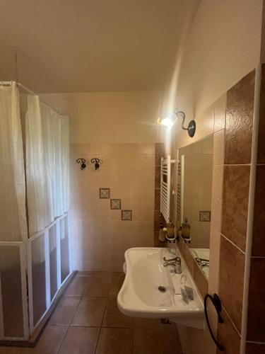 y baño con lavabo y espejo. en Fattoria Antonella, en San Gimignano