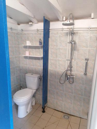 une salle de bain avec toilettes et douche dans l'établissement L escale de larcher, à Saint-Aubin-de-Nabirat