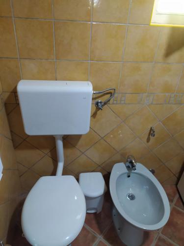 Lenilenii Bungalow في يايتشه: حمام مع مرحاض ومغسلة