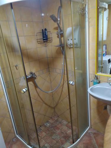 prysznic ze szklanymi drzwiami obok umywalki w obiekcie Lenilenii Bungalow w mieście Jajce