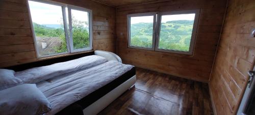 a bedroom with two beds and two windows at Relaxare in Sohodol, Alba in Sohodol
