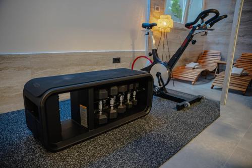 Fitness centrum a/nebo fitness zařízení v ubytování ALPEART BOHINJ HOLIDAY units