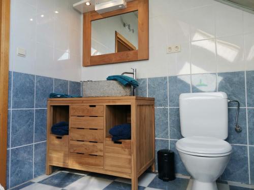 a bathroom with a toilet and a sink and a mirror at Gîte du Curnolo 3* pour 4/6pers avec spa, piscine in Namur