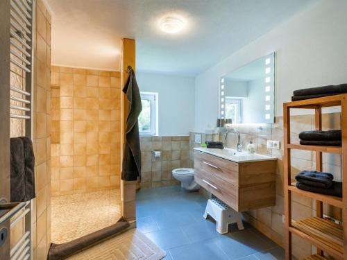 ein Bad mit einer Dusche, einem Waschbecken und einem WC in der Unterkunft Apartement Eil in Söll