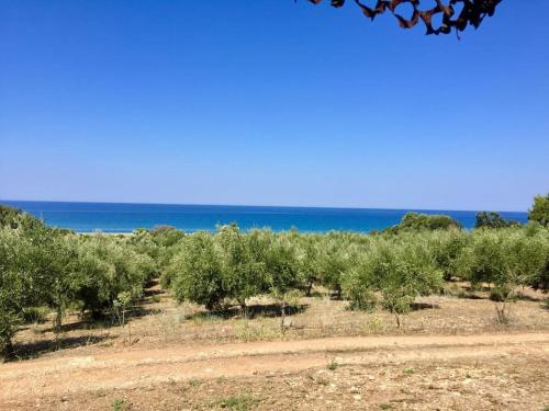 Φυσικό τοπίο κοντά σε αυτή η παραθεριστική κατοικία