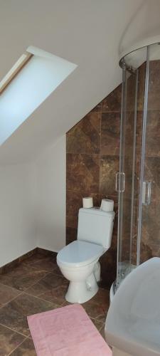 a bathroom with a toilet and a sink at Niedźwiedziówka in Mrągowo