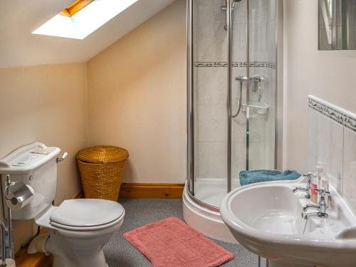 a bathroom with a shower and a toilet and a sink at Argentum House in Boulmer