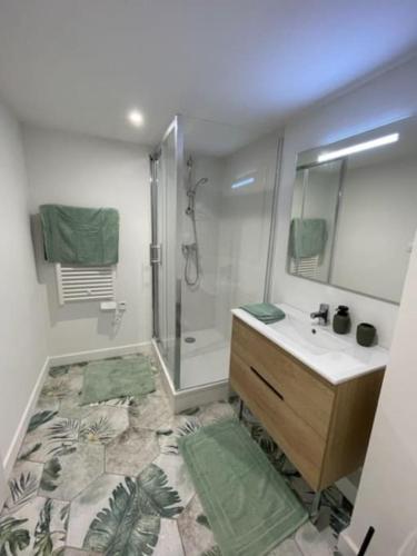 une salle de bain avec douche et lavabo dans l'établissement Dans les nuages - T2 Spacieux Standing - Metro - Wifi, à Toulouse
