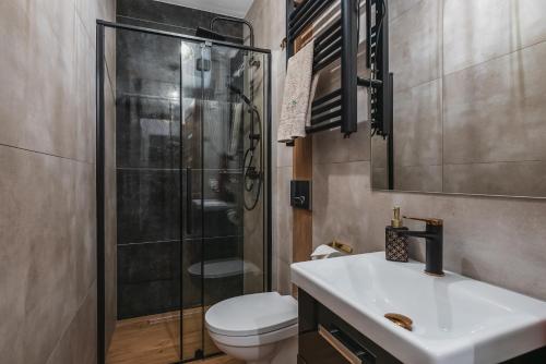 a bathroom with a shower and a toilet and a sink at Gorczański Resort Domek w Górach Sauna Jacuzzi in Nowy Targ