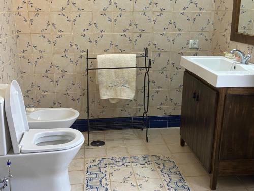 ein Bad mit einem WC und einem Waschbecken in der Unterkunft Casa das Andorinhas - Campo e Piscina 