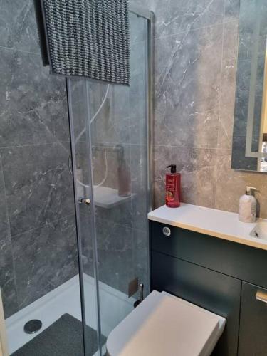 une salle de bain avec une douche, des toilettes et un lavabo dans l'établissement Shunters Cottage, à Darnick
