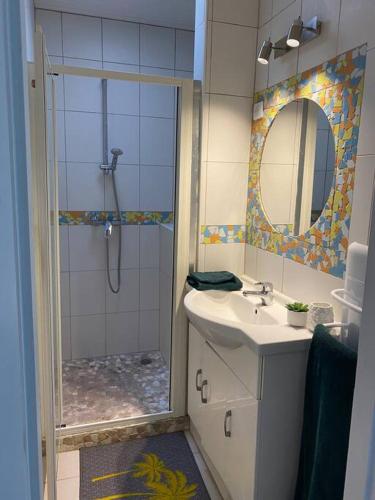 une salle de bain avec une douche, un lavabo et un miroir dans l'établissement Appartement relaxant au bassin, à La Teste-de-Buch