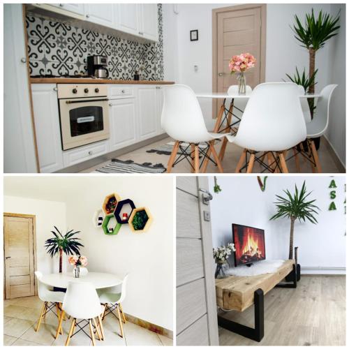 Η κουζίνα ή μικρή κουζίνα στο Apartament Daria