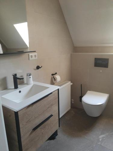 uma casa de banho com um lavatório e um WC em Vakantie appartement de Havezate em Roden