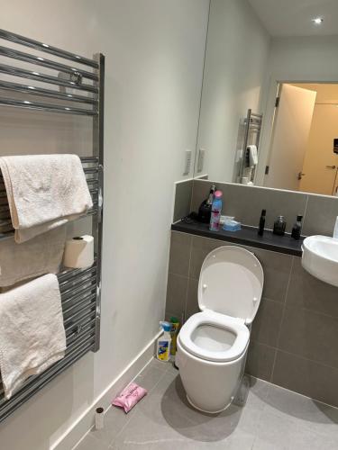 a bathroom with a white toilet and a sink at Roof Garden Flat in London