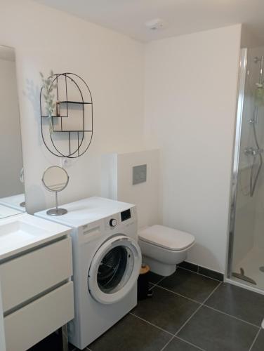 een badkamer met een wasmachine en een toilet bij Arradon Golfe du Morbihan Appartement 2 Pièces plain-pied Terrasse in Arradon