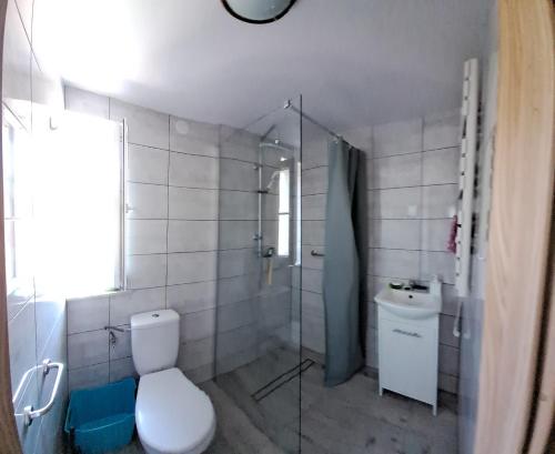 ein Bad mit einem WC, einer Dusche und einem Waschbecken in der Unterkunft Elmarkos in Kolonia Chwaszczyńska
